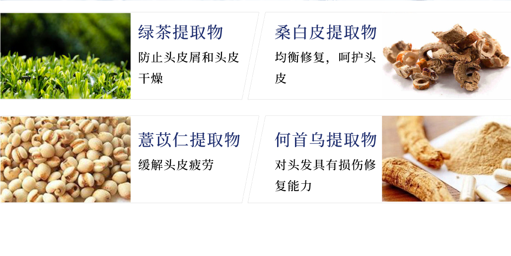 Eh Plus Shampoo EH plus Scalp Shampoo防脱洗发水 - DERMIND|德尔蔓官网-让护肤变成一种享受,让效果不再是想象